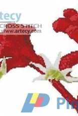 Artecy Cross Stitch - Red Kangaroo Paw