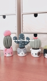 cactus in the facepot