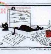 Calico Crossroads - Execu-Kats