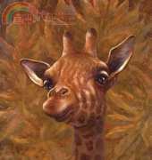 Arxinda - Giraffe