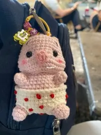 Pig