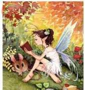 HAE Literary Fairy - Kim Parkhurst