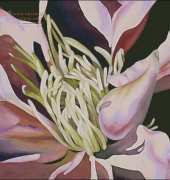 I LOVE CrossStitch - BOC-001 Anemone Brigit OConnor