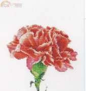 Thea Gouverneur 465 - Carnation Red
