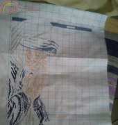 Mother Theresa