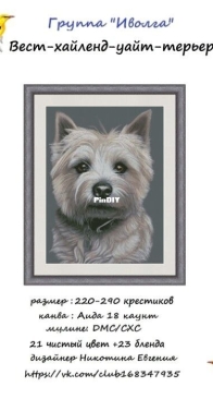 Ivolga- West highland white terrier by Evgenia Nikotina