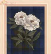 FIORI 49
