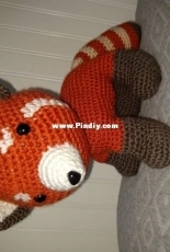Red Panda