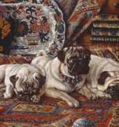 HAED HAETRL1242 Three pugs by Thomas Rivers Lovelace