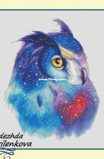 Space Owl by Nadezhda Gavrilenkova