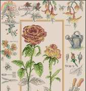 Anchor PSC53 Floral Garden / Summer in Bloom from Cross Stitch Collection 173 XSD