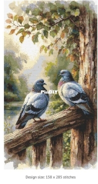 Pigeons 1 By Silvia Romero Vieira - Free
