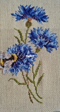 Maria Iskusnitsa 5021-Bumlebee and cornflower
