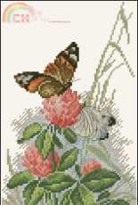 RTO M521 - Butterflies on Clover