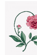 DMC Petticoat Peony - English/French - Free