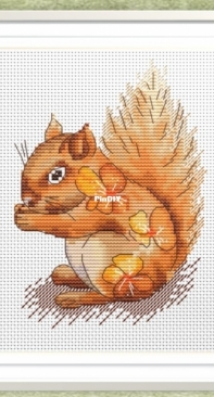 The Squirrel by Inna Peshkova