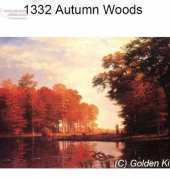 Golden Kite 1332 - Autumn Woods