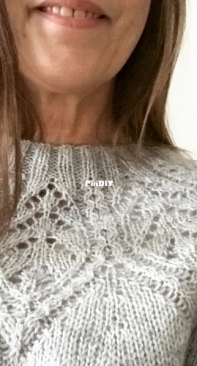Sylvestries adult sweater by Anne B Hanssen