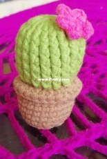 Small cactus