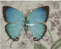 Yariskins Polychrome- ЯМ-05041 Turquoise butterfly by Irina Yakovleva XSD