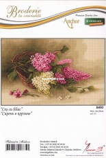 Luca-S B493 - Lilac in Basket