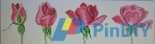 DMC - Eclosion de roses Opening of Roses PCS