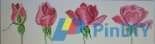 DMC - Eclosion de roses Opening of Roses PCS