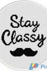 Daily Cross Stitch  - Stay Classy