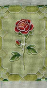 Solaria Gallery-Spring Peony
