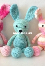 Bunny