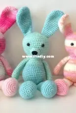 Bunny