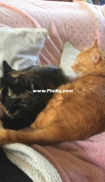 mother and son