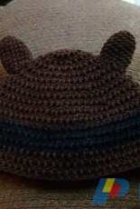 Knit Grit- Codi Hudnall - Racoon Beanie - free