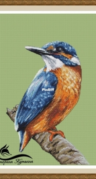 Kingfisher by Ekaterina Kutyina Kutina Екатерина Кутьина