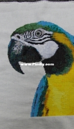 Parrot