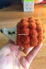 Hedgehog