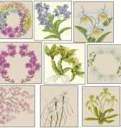 Harmony-Themes Orchids