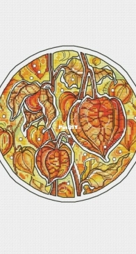 Physalis by Alisa Okneas PDF
