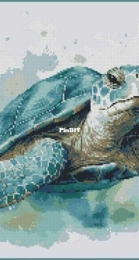Craftibo - Turtle XSD