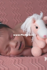 My baby horse