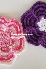Dragon Fly Mom of two Designs - Aurora Suominen - Powerful Petal Dishcloth - Free