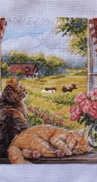 Cats - Purring Summer - Мурчащее лето