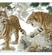 Dome 100706 The Two Tigers