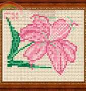 Megat 841 Pink Lily