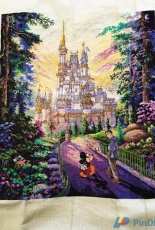 Disney Castle