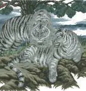 KCS G-014 White Tigers
