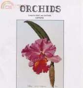 Ross Originals R09 - Orchids Cattleya / Nellie Roberts Orchid