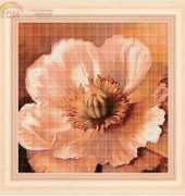 FIORI 118