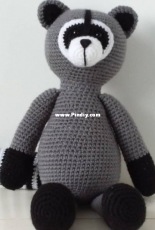 Racoon rocky