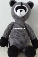 Racoon rocky